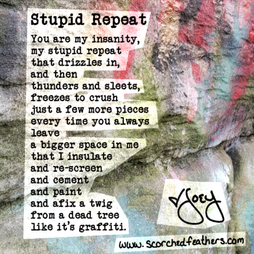 Stupid Repeat